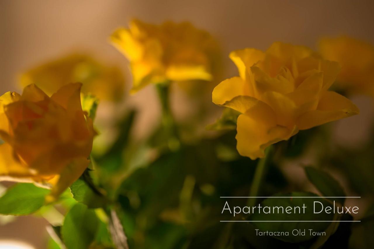 Tartaczna Old Town Apartment กดัญสก์ ภายนอก รูปภาพ