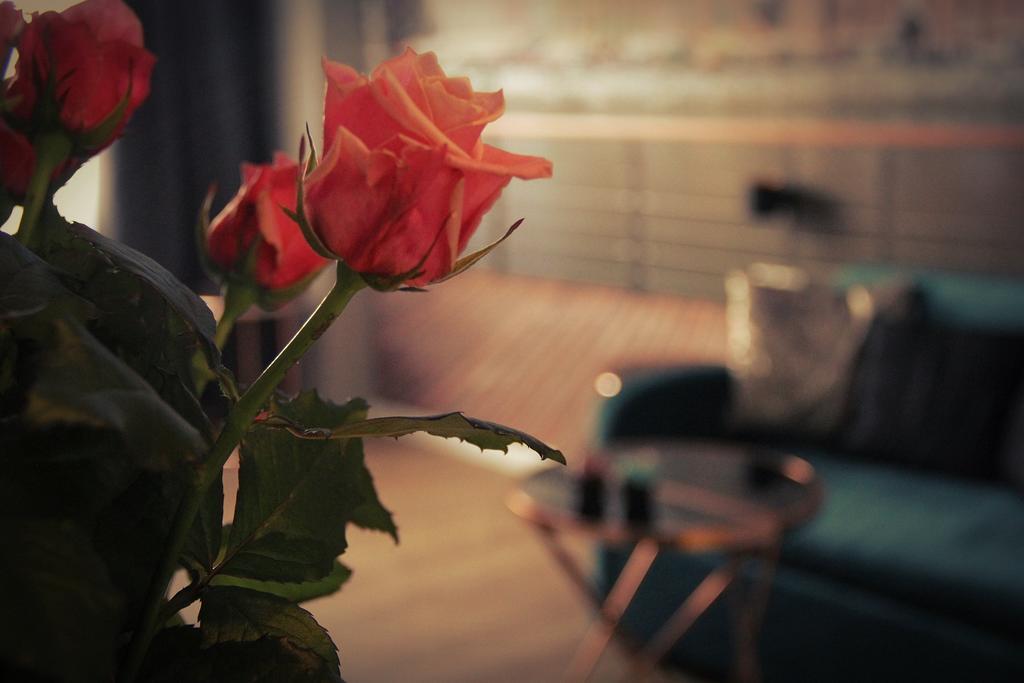 Tartaczna Old Town Apartment กดัญสก์ ภายนอก รูปภาพ